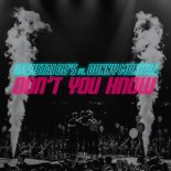 Radistai DJ's feat. Donny Montell - Don't You Know (Radio Edit)