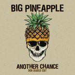 Big Pineapple - Another Chance (Don Diablo Edit)