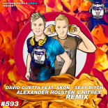 David Guetta feat. Akon - Sexy Bitch (Alexander Holsten & NITREX Remix)