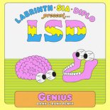 LSD ft. Sia & Diplo & Labrinth - Genius (Banx & Ranx Remix)