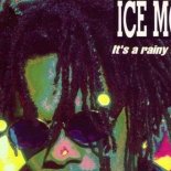 Ice Mc - It\'s A Rainy Day (C. Baumann Remix)