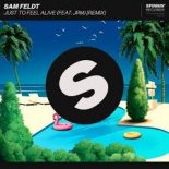 Sam Feldt feat. JRM - Just To Feel Alive (Extended Remix)