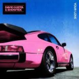 David Guetta & Showtek - Your Love  (dBrotherz Handz Up Edit)