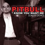 Pitbull - I Know U Want Me (Electrolit Remix)
