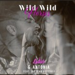 Lotus & Antonia feat. Jay Sean & Pitbull - Wild Wild Horses (Danny Carlson Extended Remix)