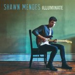 Shawn Mendes - There's Nothing Holdin' Me Back (Double Depth End Of Summer Remix)