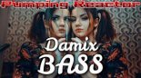 Damix - Bass (Original Mix)