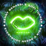 BENNY BENASSI & SOFI TUKKER - EVERYBODY NEEDS A KISS (KRYDER REMIX)