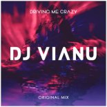 Dj Vianu - Driving Me Crazy