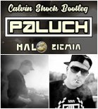 Paluch - Halo Ziemia (Calvin Shock Bootleg)