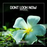 Dont Look Now - Ammunition (Boris Roodbwoy & Andrew Rai Remix)