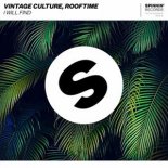 Vintage Culture & Rooftime - I Will Find (Extended Mix)