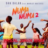 Dan Balan - Numa Numa 2 (ft. Marley Waters) (Pascal Junior Remix)