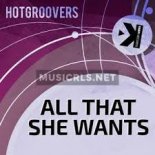 Hotgroovers - All That She Wants