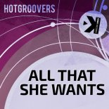 Hotgroovers - All That She Wants (Extended Mix)