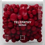 Nerak - Telepathy (Original Mix)