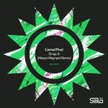 CamelPhat - Drop It (Mason Maynard Extended Remix)