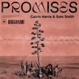 Calvin Harris & Sam Smith - Promises (David Guetta Remix)