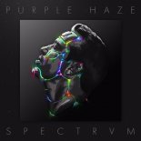 Purple Haze - Fall In feat. James New (Zonderling Remix)