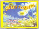 Sweet Flowers - I've Got To Feel You (Radio Mix)