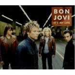 Bon Jovi - It's My Life (VINNE & Zerky Remix)