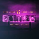 Nick Jonas vs Robin Schulz - Right Now (Robin Schulz VIP Remix)
