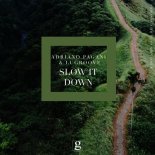 Adriano Pagani, LuGroove - Slow It Down