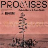 Calvin Harris ft. Sam Smith - Promises (PLAX Bootleg)