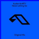 Audien & Arty - Never Letting Go (Original Mix)
