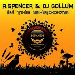 Andrew Spencer & DJ Gollum - In The Shadows 2k18 (PLUMZ Radio Edit)