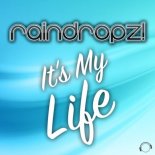 Raindropz!- It\'s My Life (Rave Mix)