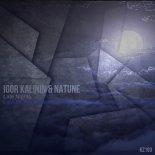 Igor Kalinin Ft. Natune - Late Nights (Original Mix)