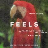 Calvin Harris ft. Pharrell Katy Perry & Big Sean - Feels (Jolyon Petch Club Mix)