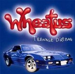 Wheatus - Teenage Dirtbag (Chris Thor Bootleg)
