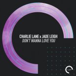 Charlie Lane ft. Jade Leigh - Don't Wanna Love You (Radio Edit)