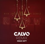Nick Jonas & Robin Schulz - Right Now (CALVO Remix)