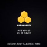 Rob Hayes - Do It Right (Original Mix)