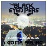 The Black Eyed Peas - I Gotta Feeling (LUM!X Hardstyle Remix)
