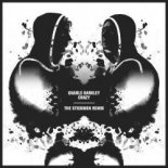 Gnarls Barkley - Crazy (The Stickmen Extended Remix)
