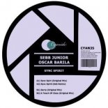 Oscar Barila, Sebb Junior - Sorry (Original Mix)