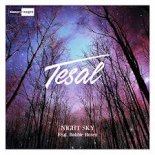 Tesal Feat. Robbie Rosen - Night Sky