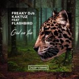 Freaky DJs, KaktuZ, Flashbird! - The Girl On Fire (Original Mix)
