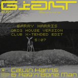Calvin Harris & Rag'n'Bone Man - Giant (Barry Harris Orig Version Club X-tended Edit)