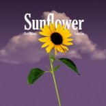 Post Malone & Swae Lee - Sunflower (Tom Damage Remix)