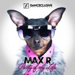 Max R. - Party Of My Life (Original Mix)