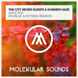 The City Never Sleeps & Summer – Addicted (Ion Blue Extended Mix)