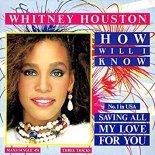 Whitney Houston - How Will I Know (Division 4 Radio Edit)