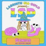 Diplo x Sia x Labrinth pres. LSD - Genius (Lil Wayne Remix)