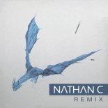 Post Malone - Wow. (Nathan C Club Remix)