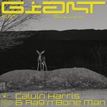 Calvin Harris, Rag\'n\'Bone Man - Giant (TOM BVRN Bootleg)